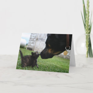 Grußkarte für Kitten und Hunde Karte