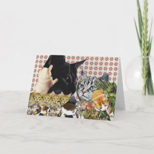 Grußkarte für kreative Katzen Karte