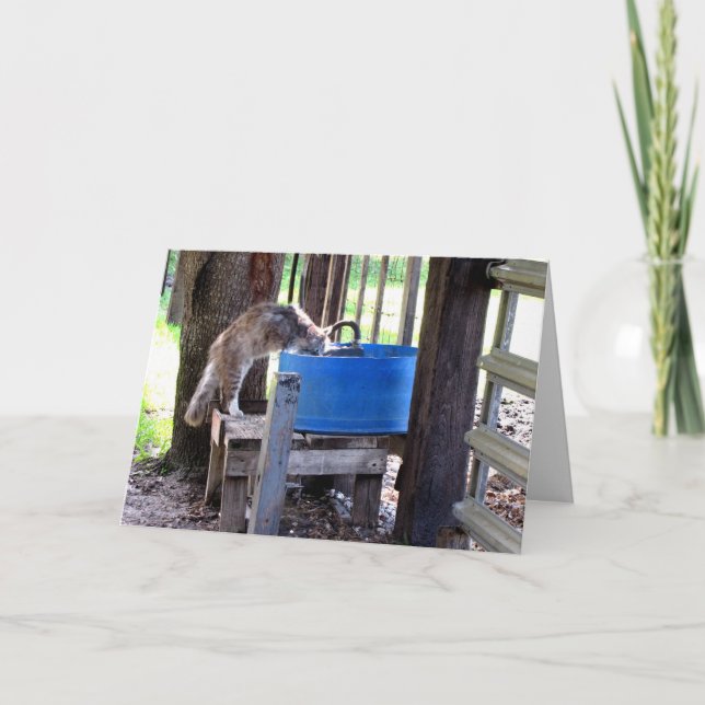 Grußkarte für landwirtschaftliche Katzen Karte (Vorderseite)