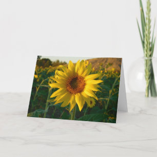 Grußkarte für leuchtende Sonnenblumen Karte