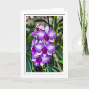 Grußkarte für lila Orchideen Karte