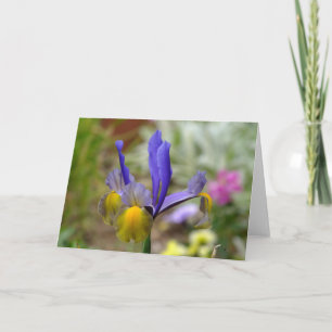 Grußkarte für lila und goldene Iris (leer) Karte