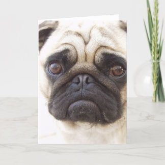 Grußkarte für Mops Karte
