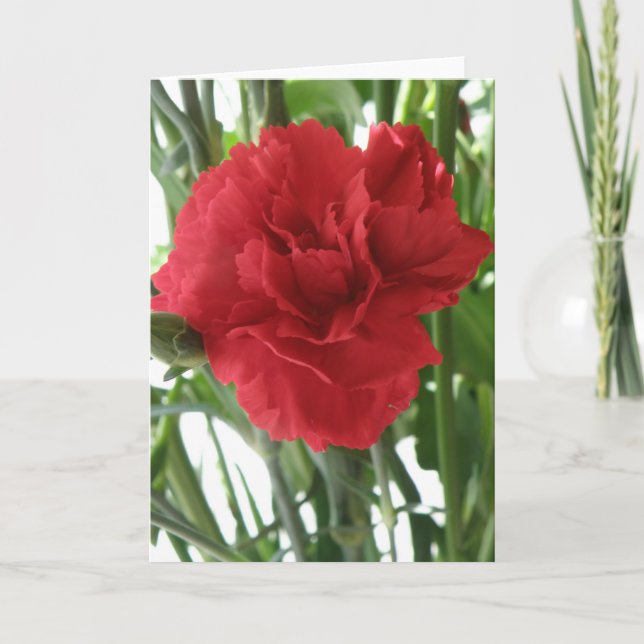 Grußkarte für Red Carnation Karte (Vorderseite)