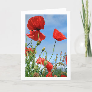 Grußkarte für Red Poppies Karte