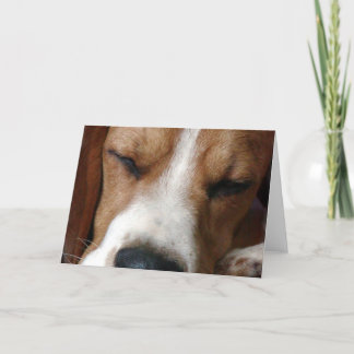Grußkarte für schlafende Beagle Karte