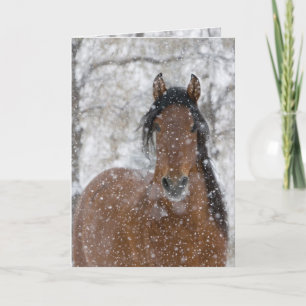 Grußkarte für Schneehengst Feiertagskarte