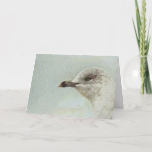 Grußkarte für Seagull-Lackierung Karte