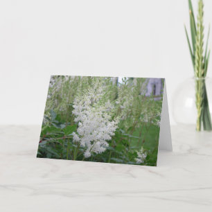 Grußkarte für weiße Blume Karte