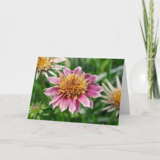 Grußkarte - Garden Beauty Park/Garten Karte