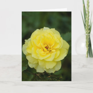 Grußkarte Gelb Rose Karte