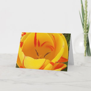 Grußkarte Gelber Tulip Karte