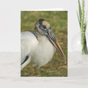 Grußkarte - Holzstorch-Profil Karte