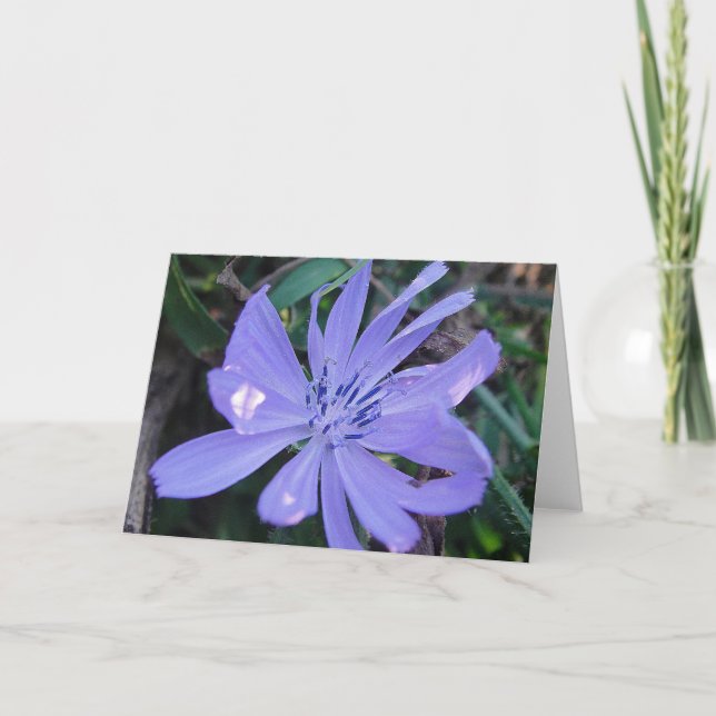 Grußkarte hübsche blaue Blume Karte (Vorderseite)