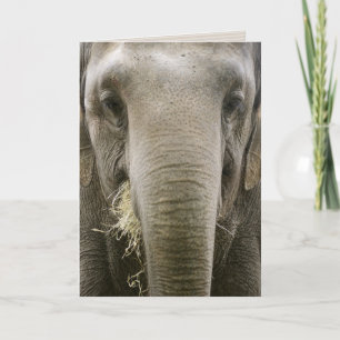 Grußkarte "Ich erinnere mich" Karte