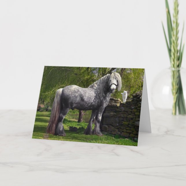 Grußkarte "Kaspisch und seine Katzen" Karte (Vorderseite)