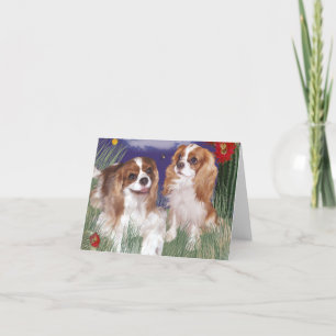 Grußkarte, King Charles Cavalier Spaniel Card Karte
