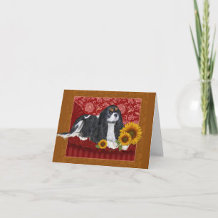 Grußkarte, King Charles Cavalier Spaniel, Tri  Karte