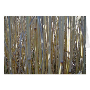 Grusskarte Kornstengel, Decke, gestaltbar