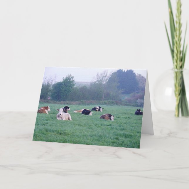 Grußkarte - Kühe in Farbe Karte (Vorderseite)