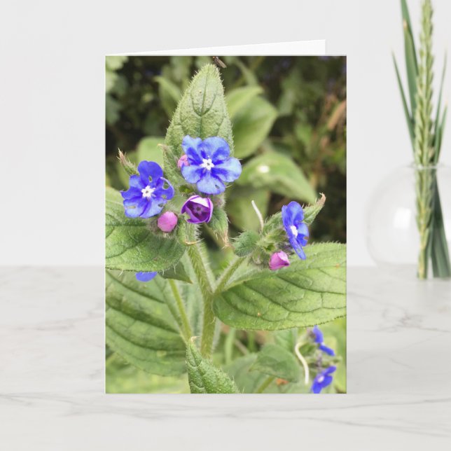 Grußkarte, Kundenkarte, Blumenkarte, Karten online (Vorderseite)