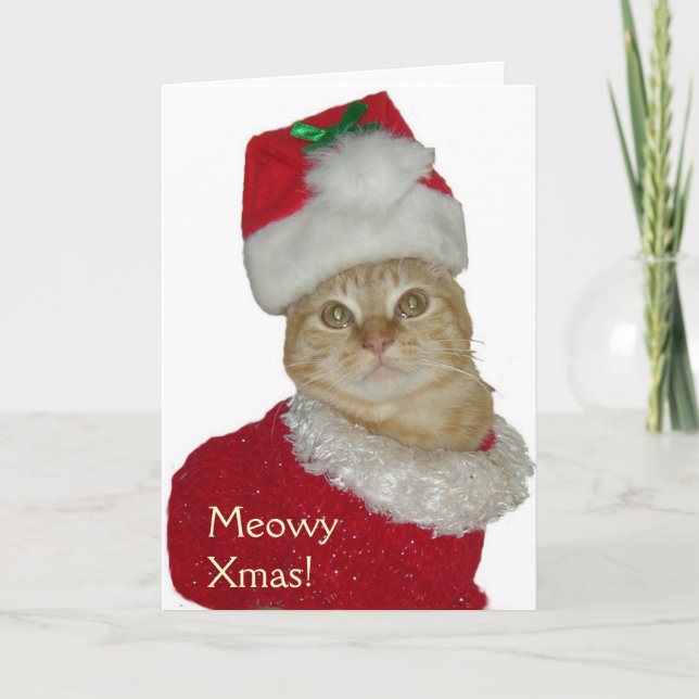 Grußkarte "Meowy Xmas" Feiertagskarte (Vorderseite)