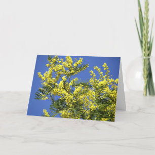 Grußkarte: Mimosen-Blumen Karte