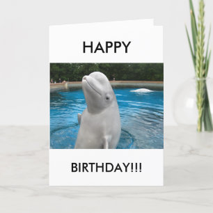Grußkarte mit Beluga Whale zum Geburtstag Karte