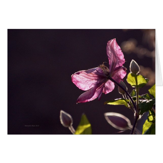 Grußkarte mit Blume (Vorderseite (Horizontal))