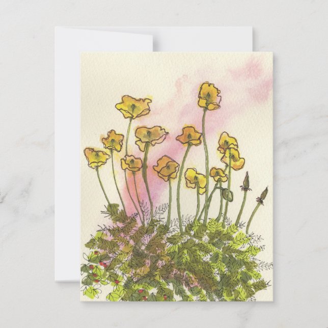 Grußkarte mit gelben wilden Mohnblumen (Vorderseite)