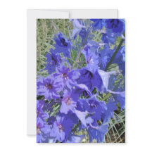 Grußkarte mit larkspur Blume Design "Hi!"