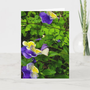 Grußkarte mit lila und gelben Blumen Karte