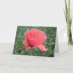 Grusskarte mit Mohnblume: Guten Tag Karte