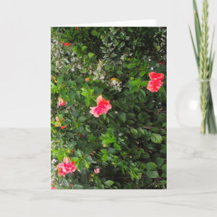 Grußkarte mit rosa Blumen Karte
