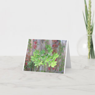 Grußkarte mit schönen Blätter auf einem Zaun. Dankeskarte