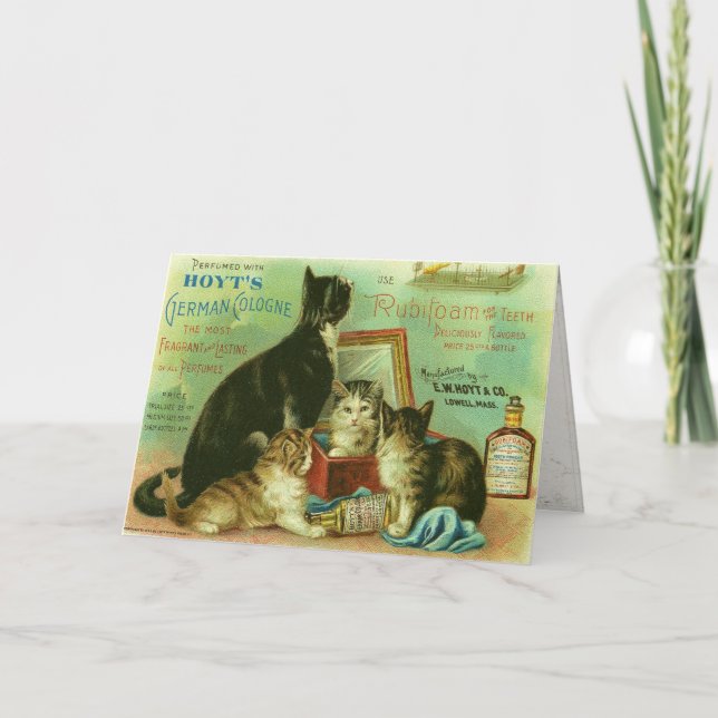Grußkarte mit Vintager Darstellung der Kätzchen Karte (Vorderseite)