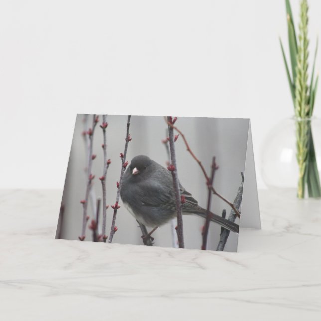 Grußkarte mit Vogel in einem Baum Karte (Vorderseite)