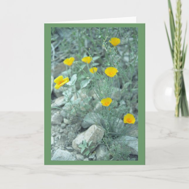 Grußkarte oder Karte für Wüstenfrühlingsblumen (Vorderseite)
