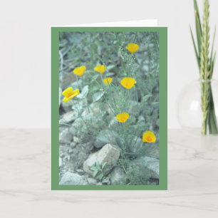 Grußkarte oder Karte für Wüstenfrühlingsblumen