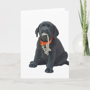 Grußkarte oder Note Card mit Black Labrador Pup Karte