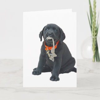 Grußkarte oder Note Card mit Black Labrador Pup Karte