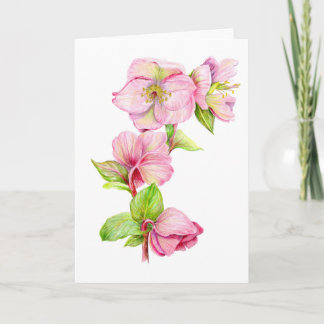 Grußkarte - Pink Hellebore-Blume Karte