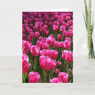 Grußkarte Pink Tulips Karte