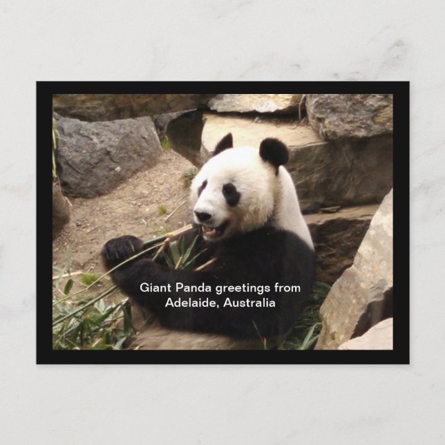 Grußkarte Postkarte (Vorderseite)