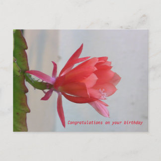 Grußkarte Postkarte