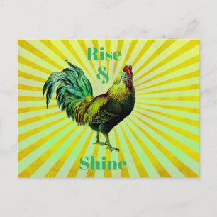 Grüßkarte 'Rise and Shine' Postkarte