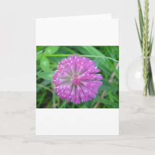 Grußkarte rosa Cloverblossom Karte