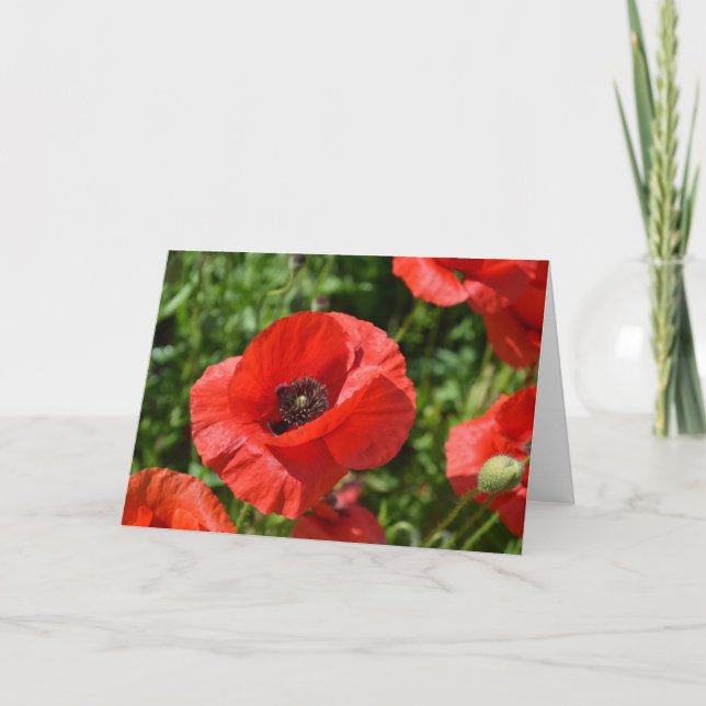 Grußkarte - rote Mohnblumen Karte (Vorderseite)