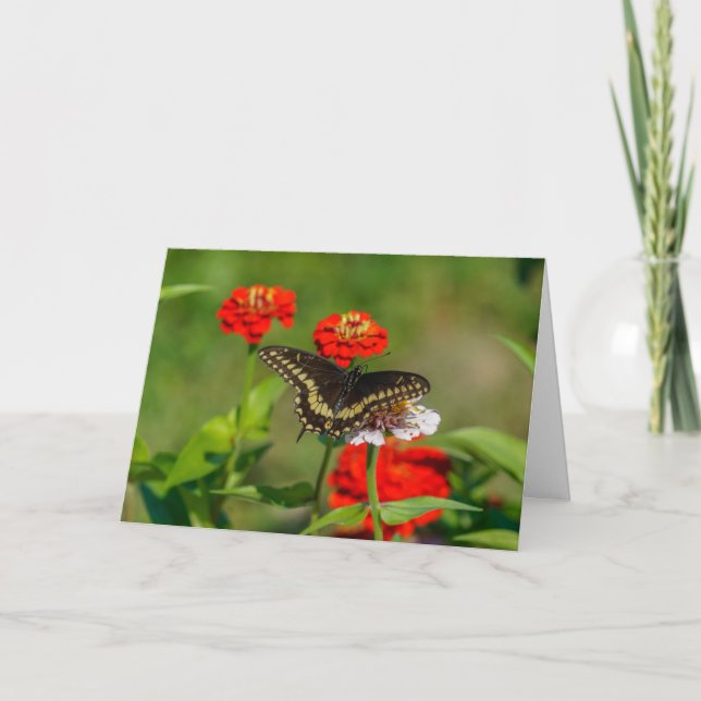 Grußkarte - Schmetterling im Garten in Stowe Karte (Vorderseite)
