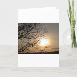 Grußkarte schöner Sonnenuntergang mit Verzweigunge Karte